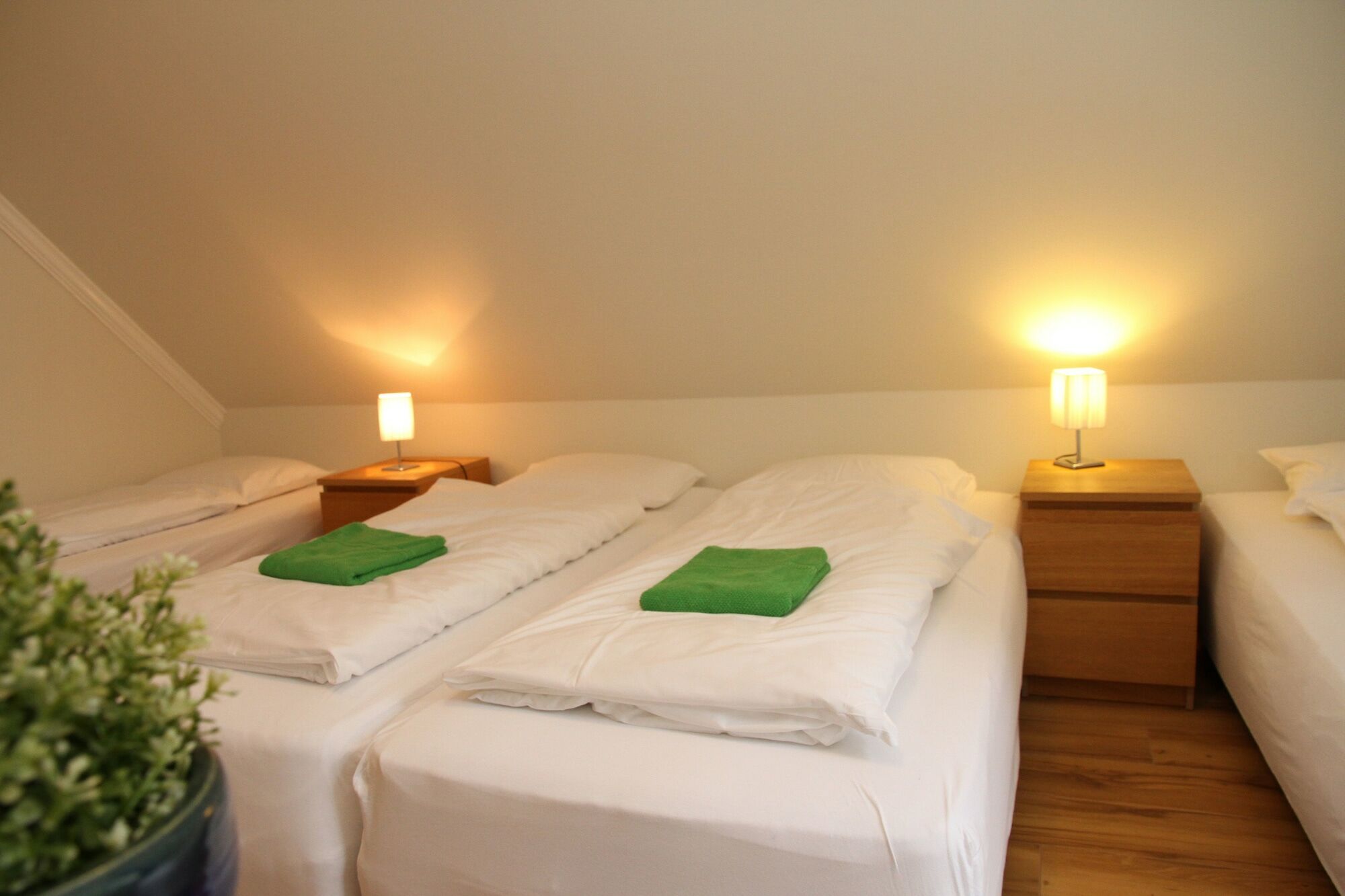 Olga Guesthouse 에질스타지르 외부 사진
